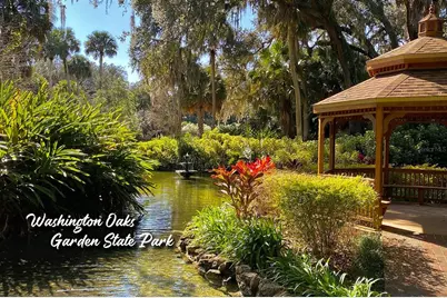 3510 S Ocean Shore Boulevard #109, Flagler Beach, FL 32136 - Photo 51