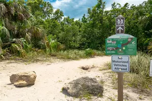 3510 S Ocean Shore Blvd, Flagler Beach, FL 32136 - Photo 39