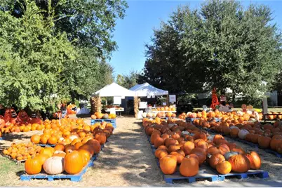 718 Honeysuckle Avenue, Celebration, FL 34747 - Photo 57