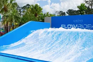 14501 Grove Resort Ave, Winter Garden, FL 34787 - Photo 55