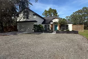 19509 Sheldon St, Orlando, FL 32833 - Photo 3