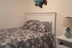 1010 Tourmaline Dr, Kissimmee, FL 34746 - Photo 63