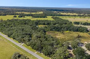 2878 S US 301, Sumterville, FL 33585 - Photo 65