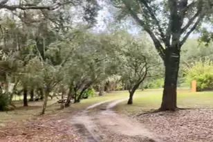 38550 Ilex Trail, Eustis, FL 32736 - Photo 3