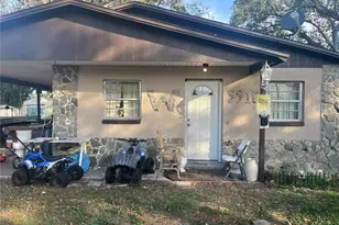 9918 Albyar Ave, Riverview, FL 33578 - Photo 1