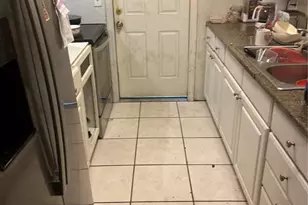 9918 Albyar Ave, Riverview, FL 33578 - Photo 13