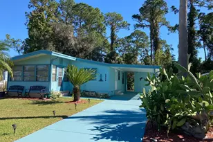 2824 Manatee Rd, Tavares, FL 32778 - Photo 1