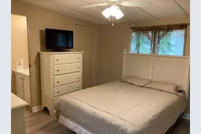 2824 Manatee Road, Tavares, FL 32778 - Photo 33