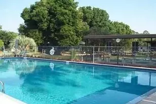 2824 Manatee Rd, Tavares, FL 32778 - Photo 45