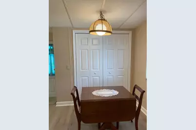 2824 Manatee Road, Tavares, FL 32778 - Photo 19