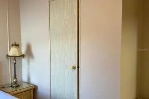 2824 Manatee Rd, Tavares, FL 32778 - Photo 27