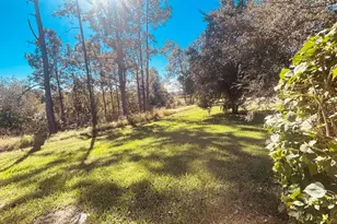 9157 Leeland Archer Blvd, Orlando, FL 32836 - Photo 15