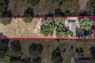 624 Hull Island Dr, Oakland, FL 34787 - Photo 29