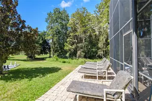 2812 Sleeping Dragon Ln, Kissimmee, FL 34747 - Photo 71