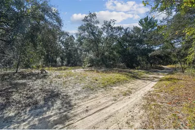 2903 Tyler Street, Inverness, FL 34453 - Photo 3