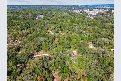 2903 Tyler Street, Inverness, FL 34453 - Photo 9