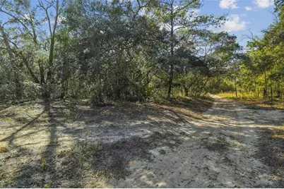 2903 Tyler Street, Inverness, FL 34453 - Photo 5