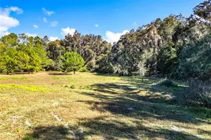 16990 NE 30th Ct, Citra, FL 32113 - Photo 5