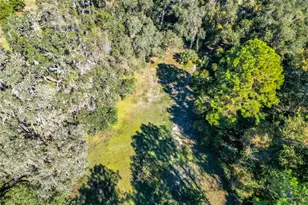 16990 NE 30th Ct, Citra, FL 32113 - Photo 3