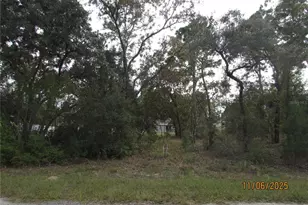 3108 W Randolph Ln, Citrus Springs, FL 34433 - Photo 1