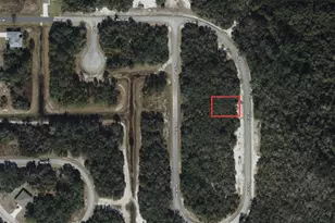 1236 Baltic Dr, Poinciana, FL 34759 - Photo 1