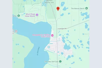 175 Oak Run Road, Crescent City, FL 32112 - Photo 5