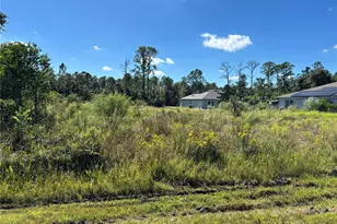 8011 Ancha St, Sebring, FL 33872 - Photo 3