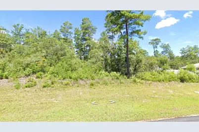 Marion Oak, Ocala, FL 34473 - Photo 1
