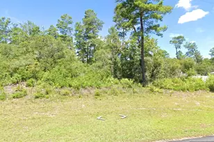 Marion Oak, Ocala, FL 34473 - Photo 1