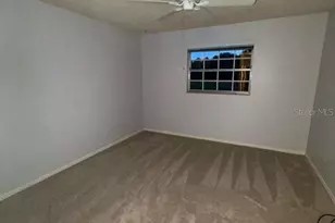 8 Jasmine St, Lake Placid, FL 33852 - Photo 21