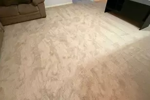 8 Jasmine St, Lake Placid, FL 33852 - Photo 11