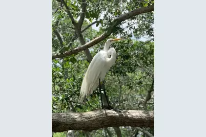 9400 Little Gasparilla Island #C3, Placida, FL 33946 - Photo 31