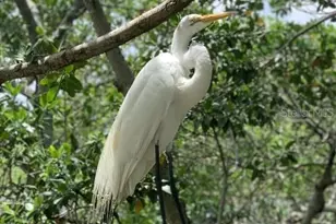 9400 Little Gasparilla Island, Placida, FL 33946 - Photo 31