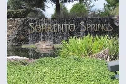 33614 Campeon Court, Sorrento, FL 32776 - Photo 13