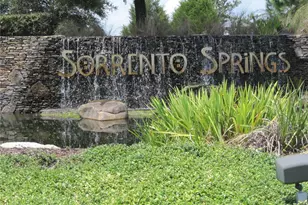 33614 Campeon Ct, Sorrento, FL 32776 - Photo 13