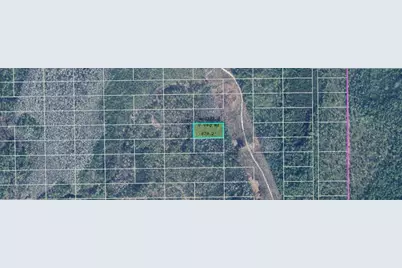 Dill Road, Orlando, FL 32820 - Photo 1