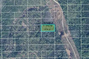 Dill Rd, Orlando, FL 32820 - Photo 1