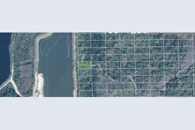 1707 Dill Road, Orlando, FL 32820 - Photo 1