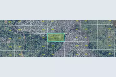 Dill Road, Orlando, FL 32820 - Photo 3