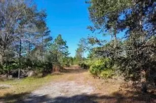 1448 Blease Ave, Orlando, FL 32833 - Photo 1