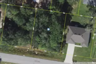 613 Gull Dr, Kissimmee, FL 34759 - Photo 1