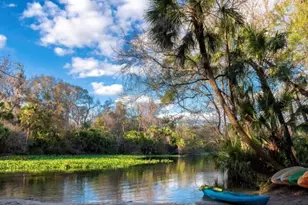 2697 Arbor Dune Ave, Apopka, FL 32712 - Photo 19