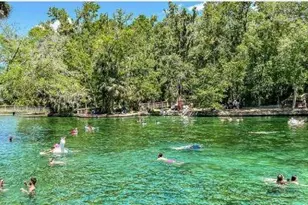 2709 Arbor Dune Ave, Apopka, FL 32712 - Photo 19