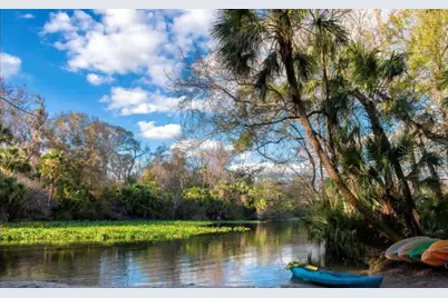 2721 Arbor Dune Avenue, Apopka, FL 32712 - Photo 21