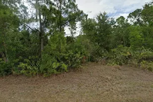 3203 E 8th St, Lehigh Acres, FL 33972 - Photo 1