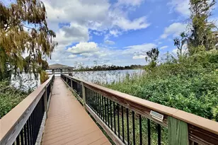 13106 Orange Isle Dr, Windermere, FL 34786 - Photo 67