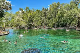 2604 Long Pne Ave, Apopka, FL 32712 - Photo 29