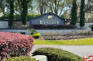 36732 Alaqua Ct, Eustis, FL 32736 - Photo 33