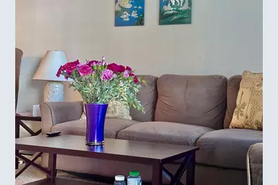 5217 81st Street N #3, Saint Petersburg, FL 33709 - Photo 7