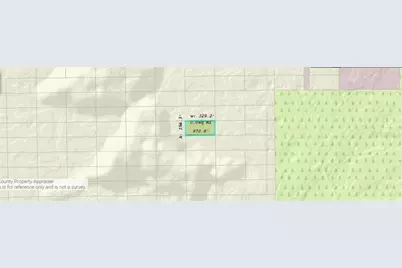 Dill Road, Orlando, FL 32820 - Photo 3